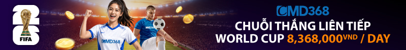 Catfish Banner