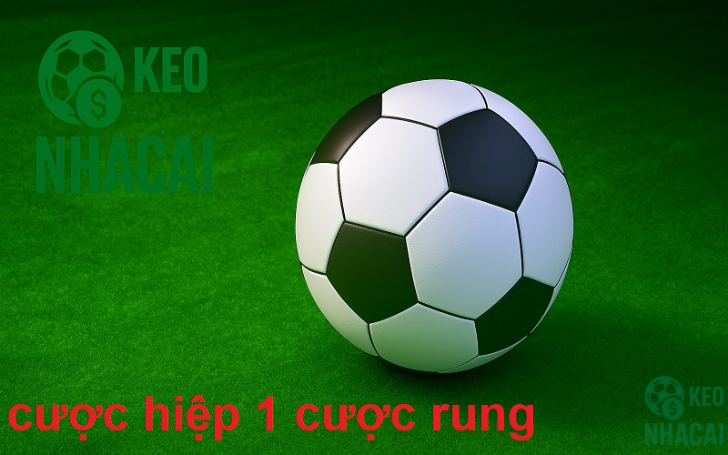 Chiến lược cược hiệp 1 – cược rung Chiến lược cược hiệp 1 - cược rung