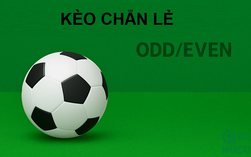 Cược chẵn lẻ Cược chẵn lẻ