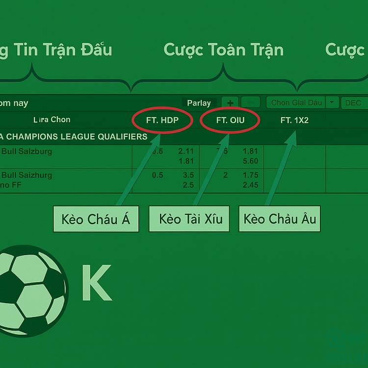 Hướng dẫn Newbie đọc kèo Châu Á 0.25