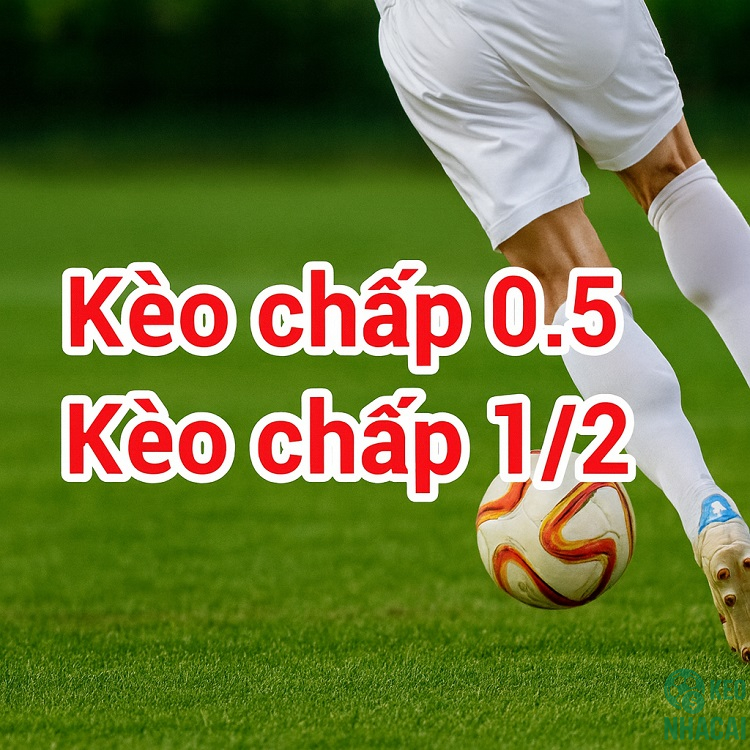 Kèo 0.5 là gì?