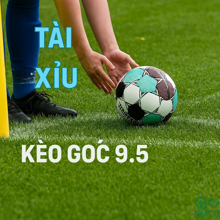 Không chơi theo cảm tính Không chơi theo cảm tính