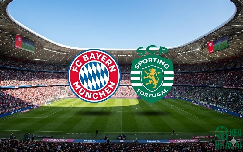 Soi kèo Bayern vs Sporting CP Soi kèo Bayern vs Sporting CP