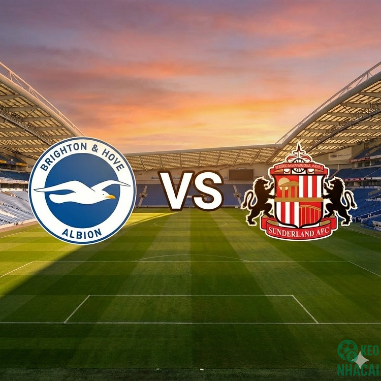 Soi kèo Brighton vs Sunderland 22h00