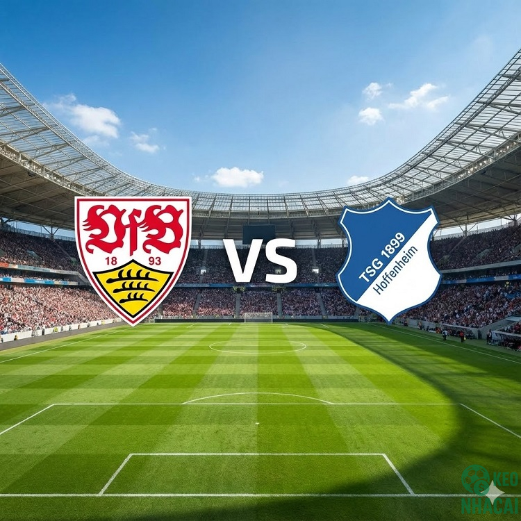 Soi kèo Stuttgart vs Hoffenheim Soi kèo Stuttgart vs Hoffenheim
