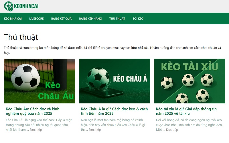 chuyên mục hướng dẫn cho người mới Chuyên mục hướng dẫn cho người mới